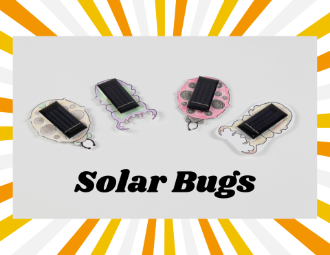 solar bugs, solar panel, library program, prospect heights, prospect heights public library, steam, science, technology