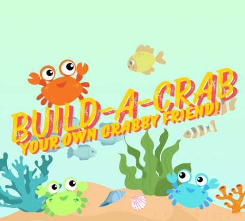 Large letters saying: Build-A-Crab: Your Own Crabby Friend in large neon orange and pink. There are three crabs on sand, surrounded by shells, plant life, and various small fish.