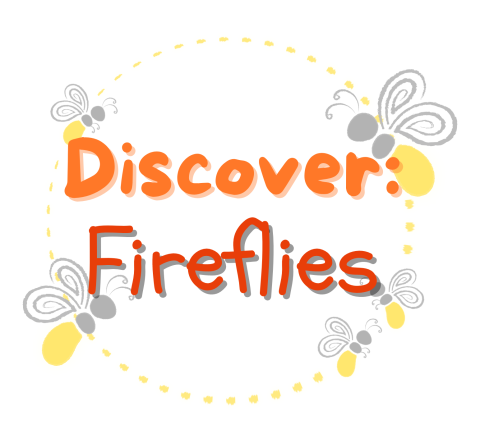 The words "Discover: Fireflies" surrounded by tiny fireflies.