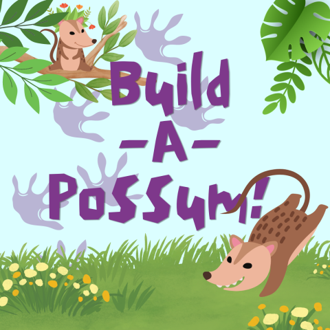 The words "Build-A-Possum!" surrounded by grass, branches, and two little possums, with footprints in the background