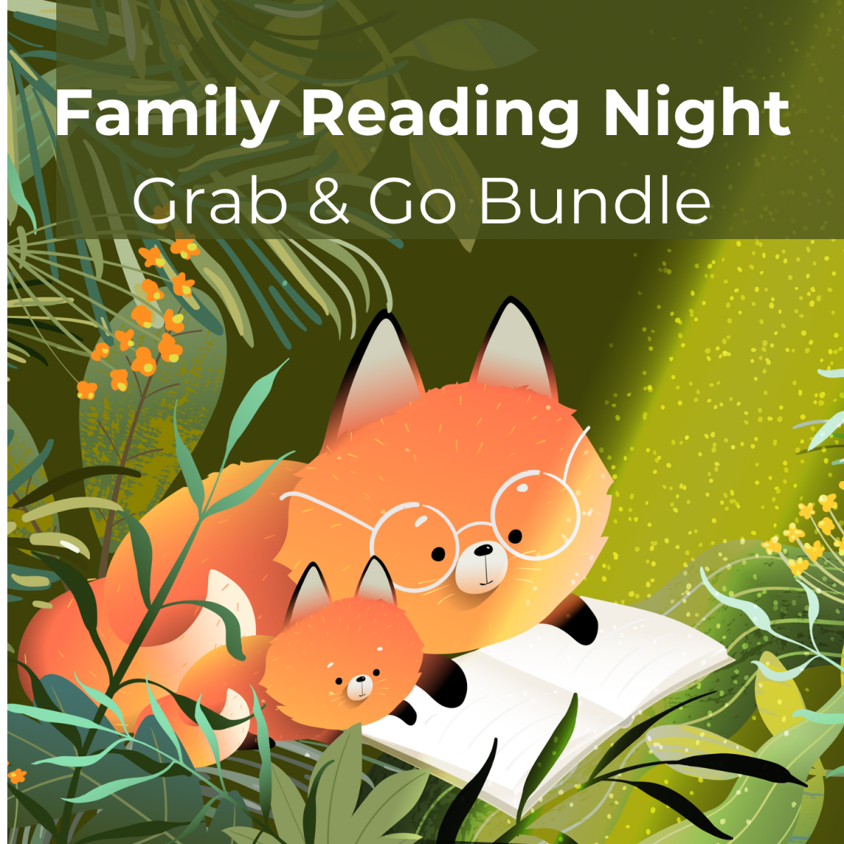 Family Reading Night, books, surprises, book Bundle, prospect Heights Public Library 